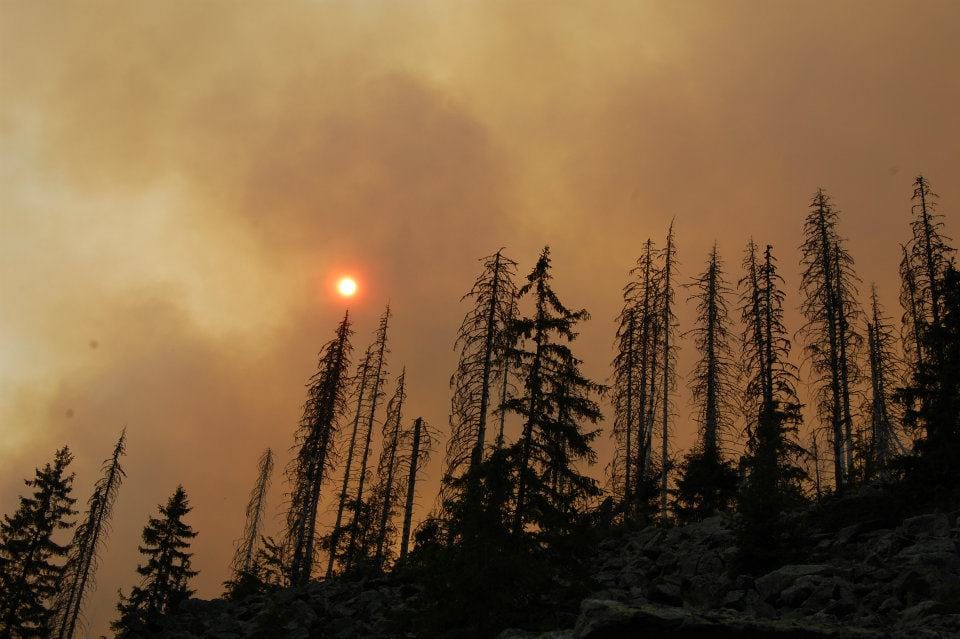 Горски пожар